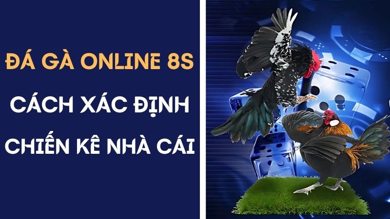 Đá gà online 8s đơn giản