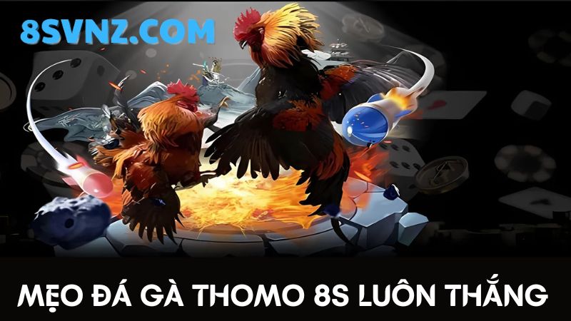 Mẹo chơi Đá gà Thomo 8s 