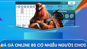 Đá gà online 8s