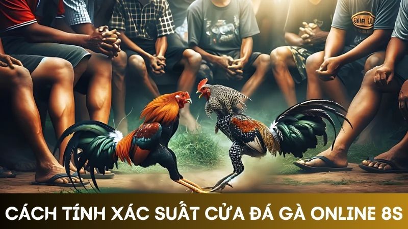 tính xác suất cửa cược Đá gà online 8s 