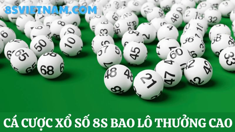 Cá cược xổ số 8s bao lô 