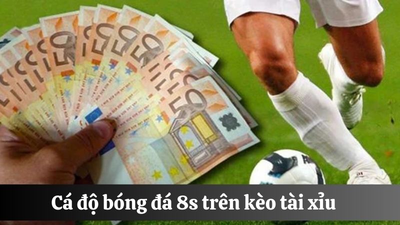 cá cược bóng đá 8s trực tuyến