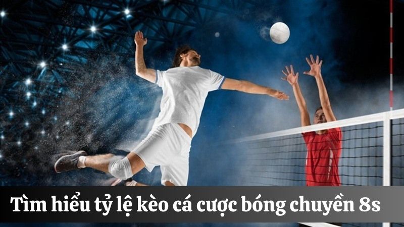 Tỷ lệ kèo cược bóng chuyền 8s