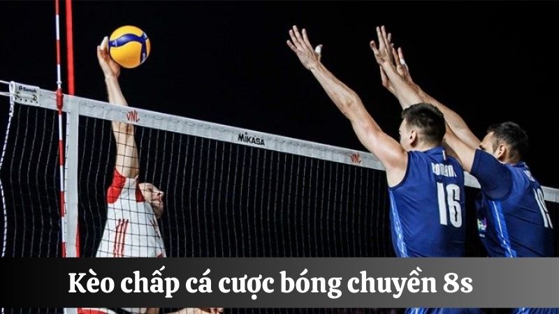  kèo chấp bóng chuyền online