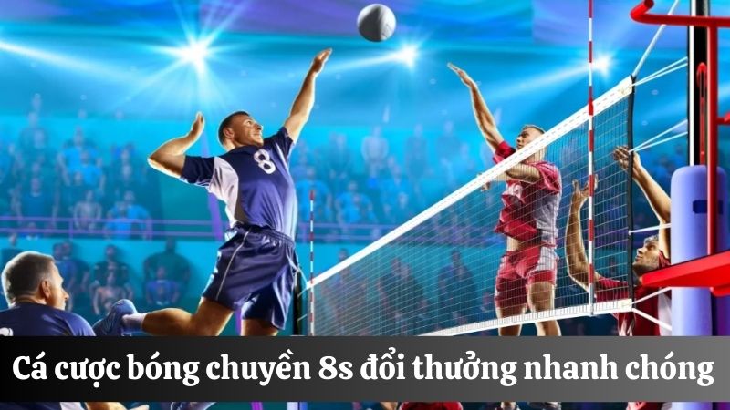 cá độ bóng chuyền online 8s