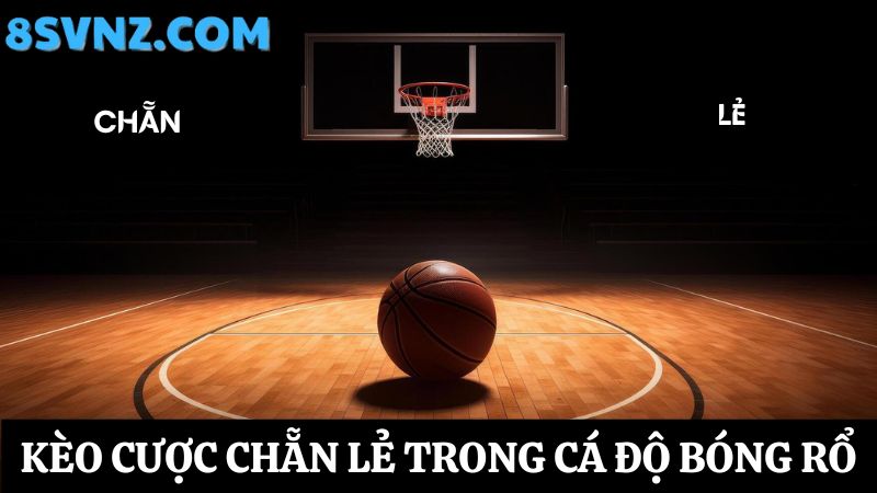 cá độ bóng rổ online tại 8s