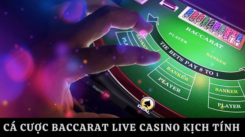 8s live casino Baccarat